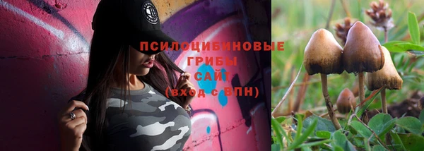 дурь Горно-Алтайск