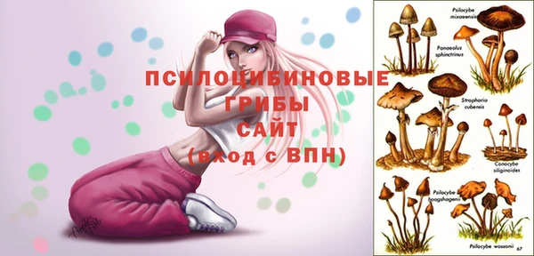 а пвп мука Горняк